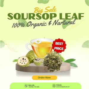 Thé du matin au corossol, tisane artisanale 100% naturelle et biologique, fabriqué au Vietnam - Product Image 3