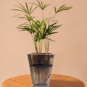 Vases et pots à fleurs décoratifs rustiques en bois d'acacia, écologiques, faits à la main, OEM, sur mesure, vente en gros |   Aqudus Saleem Inde - Product Image 6