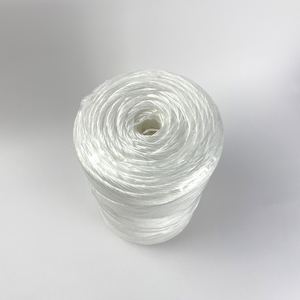 Premier OEM Supplier's Large <b>Greenhouse</b> PP Braided Rope for Vietnam Plant Growing Environment Strengthening - Product Image 3