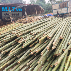 Poteaux en bambou durables de 0,5 m à 5 m de long pour le soutien des plantes agricoles, le jardinage et la construction extérieure - Product Image 2