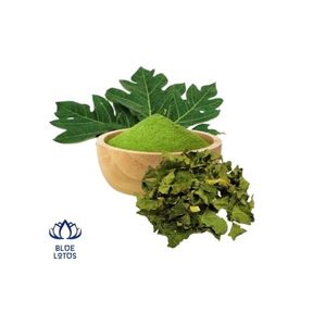 ใบมะละกอแห้งคุณภาพสูง สะอาด ปลอดภัย ผ่านกระบวนการผลิตอย่างพิถีพิถัน เหมาะสำหรับชงชาและสกัด ใช้เพิ่มรสชาติให้ดีขึ้น - Product Image 1