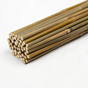 เสาไม้ไผ่คาร์บอนสำหรับตกแต่งต้นไม้ - Product Image 2