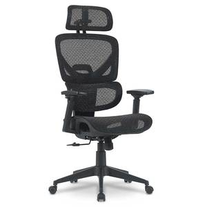 Nouvelles arrivées en stock : chaise de bureau ergonomique professionnelle HOTH de qualité supérieure, entièrement en mesh, d'un fabricant et exportateur leader. - Product Image 1