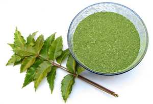 Polvo de Hoja de Neem Premium 100% Puro y Natural 100 g Polvo Potable - Product Image 2