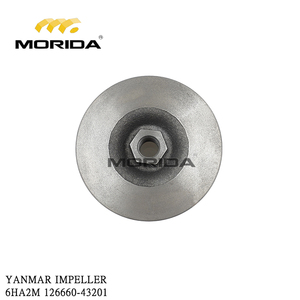 Bomba de Agua de Mar 6HA 126635-42010 para YANMAR - Product Image 2