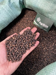 Nueva cosecha de calidad superior Vietnam pimienta negra seca hierba en polvo condimentos crudos gran sabor especias picantes variedad para - Product Image 5