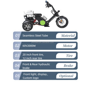 ईक cc m6g 3-पहिया इलेक्ट्रिक कार्गो ट्राइसाइकिल साइटोको 12 "वसा टायर डिस्क ब्रेक गोल्फ स्कूटर cc प्रमाणित इलेक्ट्रिक ट्रॉली - Product Image 6