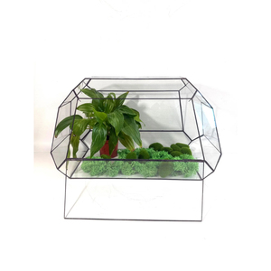 Handmade <b>Clear</b> Glass Plant Box Decorative Black Metal Hanging Terrarium Glass Planter & Candle Holder Home Garden Decoration - Product Image 5