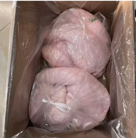 Graisse de queue d'agneau HALAL surgelée, graisse de queue de mouton/agneau HALAL surgelée
