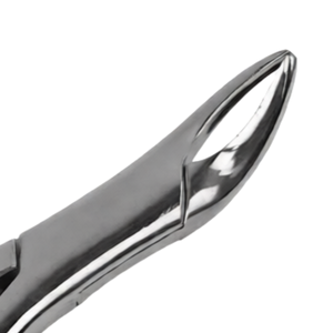 Forceps d'extraction manuels # Instrument d'extraction dentaire en acier inoxydable pour 103 incisives et cuspides inférieures – Outil chirurgical dentaire - Product Image 4
