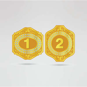 Ceinture de championnat de lutte personnalisée avec logo, plaque centrale dorée à quatre côtés, en laiton et zinc, sangle noire de 2 mm/4 mm d'épaisseur - Product Image 3