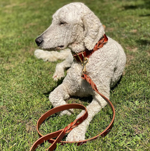 Handmade Leather <b>Braided</b> Dogs pet Collars with metal buckle for secure dog walking and training activities in low price - Product Image 1