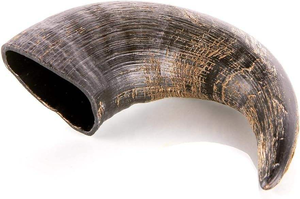 Top Dog Chews - Huesos de Cuerno de Búfalo Natural para Perros, Juguetes Ecológicos, Duraderos, Interactivos y Personalizables - Product Image 2