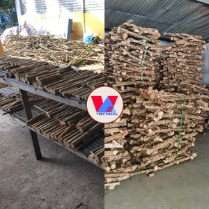 ของเล่นสุนัขยอดนิยม ไม้กาแฟธรรมชาติสำหรับกัดแทะ ทนทาน เป็นมิตรกับสิ่งแวดล้อม ช่วยทำความสะอาดฟันและบรรเทาความวิตกกังวล - Product Image 6