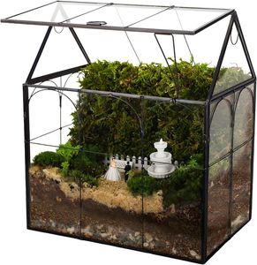 Terrario de Metal y Vidrio Negro Personalizado, Moderno, para Plantas de Interior, Suculentas, Plantas Aéreas y Terrarios DIY - Product Image 2