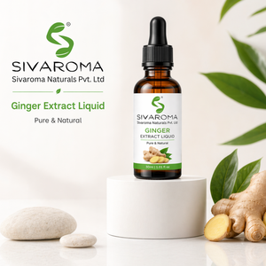 Extrait de gingembre liquide de qualité supérieure pour la distribution en gros, conçu pour la transformation alimentaire, la création de saveurs et les boissons - Product Image 1