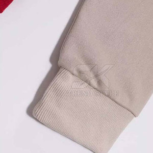 Sudadera con Capucha Lisa Multicolor de Diseño Personalizado 2026, Productos Básicos de Invierno, Sudadera con Capucha Lisa Multicolor - Product Image 5