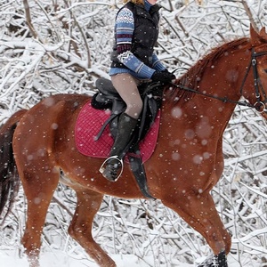 Culottes d'équitation pour femmes collants de sport siège complet en cuir leggings d'entraînement d'équitation anti-boulochage Jodhpur et culottes - Product Image 6