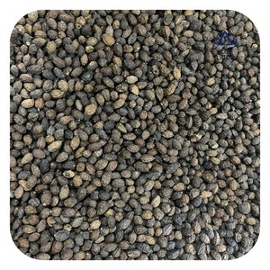 Graines de papaye séchées de qualité supérieure pour la transformation et la fabrication alimentaires - Product Image 1