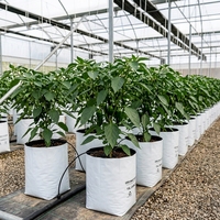 Bolsas de Cultivo de Fibra de Coco al por Mayor, Hechas de Plástico, Capacidad de 1000 ml, Ecológicas, para Plántulas e Hidroponía