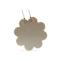 Plaque chauffante flexible plate de haute qualité 5"x5" en mica, AC/DC 1~1000V -200~1000V pour plaques chauffantes de machines de moulage sous pression