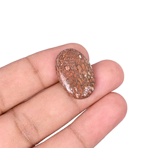 Pierre précieuse en os de dinosaure, 13,20 carats, 23x15mm, forme ovale, pierre brute - Product Image 1