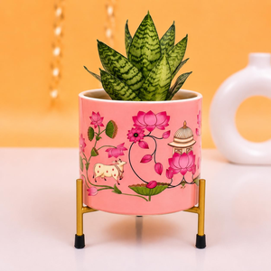 Maceta de Terracota con Diseño de Corazón Rosa Pálido, Hecha a Mano, Decorativa, con Orificio de Drenaje para Plantas de Interior, Sala de Estar - Product Image 1