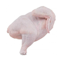 Poulet entier congelé halal à prix avantageux