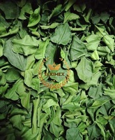 Quantité en vrac kaffir citron vert feuille poudre aromatique cuisine thaïlandaise ingrédient OEM emballage Vietnam origine