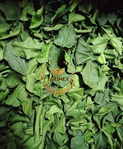 ผงใบมะกรูดมีกลิ่นหอมสำหรับอาหารไทยบรรจุมาจากเวียดนาม - Product Image 4