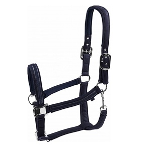 High Quality Durable Customized Equestrian Horse Riding <b>Halter</b> with PP Material Padding Custom Logo Custom Sizes - Product Image 1