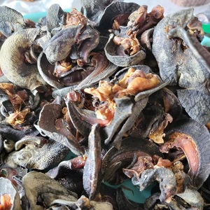 Caracoles Africanos Secos Ácidos y Salados de Primera Calidad en Bolsa, Saludables, Venta al por Mayor para Adultos, Entrega Rápida para Negocios - Product Image 1