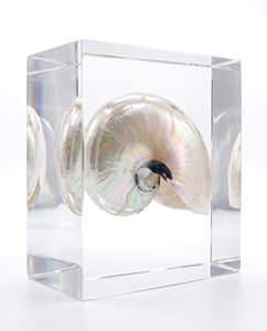 Modern Style Clear Polished <b>Acrylic</b> Variety Model Eco-Friendly Transparent Solid <b>Acrylic</b> Display <b>Blocks</b> - Product Image 5