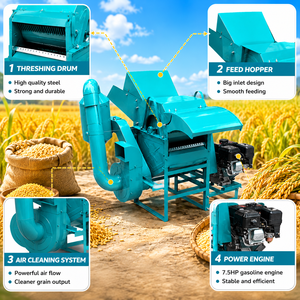 Décortiqueuse à céréales portable à essence 7,5 CV BB-TG40 pour riz, blé et <span class=keywords><strong>millet</strong></span> - Product Image 5