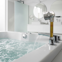 Pommeau de Douche Portable Coréen le Plus Vendu avec Traitement de l'Eau, Stérilisation, Élimination des Bactéries, Émission d'Ions Négatifs et Filtre pour Usage Domestique