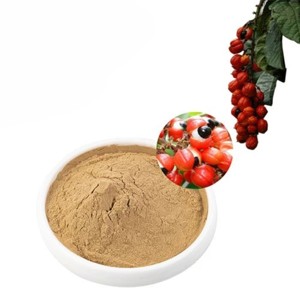 Extracto de Guaraná Natural OEM 10:1 en Polvo, Polvo de Semillas de Guaraná Molido Fino de Alta Calidad para Bebidas Energéticas y Suplementos Pre-Entrenamiento - Product Image 1