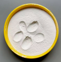 CACO3 Carbonate de Calcium Précipité en Poudre à Base d'Époxy Qualité Revêtement Qualité Alimentaire Calcaire Blanc Livraison Rapide Véritable