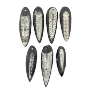 Top Drilled Orthoceras Long Pear Shape Teardrop Cabochon to make wire wrap pendant <b>locket</b> macrame jewelry - Product Image 4