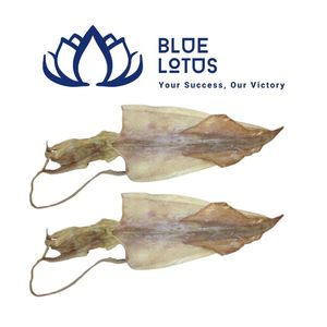 Calamars Séchés Purs et Durables, de Haute Qualité, Idéaux pour Soupes et Apéritifs, Disponibles à l'Exportation - Product Image 1