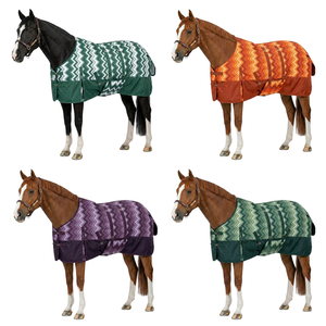 Manta impermeable para caballo de exterior con cobertura completa de cuello y cuerpo, manta de invierno para establo con hebilla de seguridad. - Product Image 2