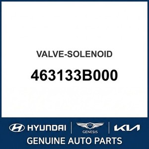 Válvulas Nuevas para Elantra 463133B000 - Product Image 1