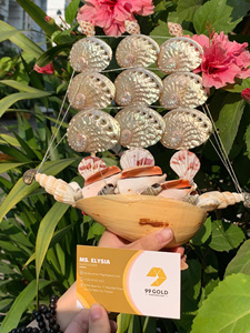 เปลือกหอยสีสันสดใส ทำความสะอาดแล้ว ของตกแต่งจากเปลือกหอยธรรมชาติ โรงงานเวียดนาม ขายส่งจำนวนมาก อุปกรณ์งานฝีมือ - Product Image 6