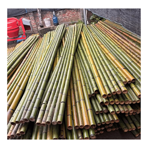 Poteau en bambou naturel, fabriqué avec du bambou épais, pour les échafaudages de construction et l'ameublement extérieur, origine Vietnam. - Product Image 3