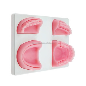 Almohadilla de Práctica de Sutura Dental, Modelo de Entrenamiento Anatómico 3D de Silicona, Proveedor Mayorista para Estudiantes de Odontología, Precio al por Mayor - Product Image 2