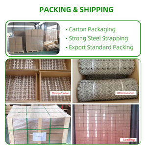 Pointes <span class=keywords><strong>anti</strong></span>-oiseaux en acier inoxydable 304 de 25 cm, 33 cm, 50 cm, 100 cm – Fabricant pour le contrôle des <span class=keywords><strong>pigeons</strong></span> - Product Image 3