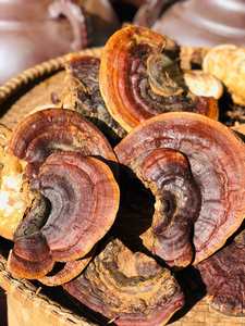 CAFÉ DE HONGOS DE ALTA CALIDAD EN POLVO MARCA PRIVADA OEM: MEZCLAS INSTANTÁNEAS CON HONGOS MEDICINALES PARA SU MARCA - Product Image 6