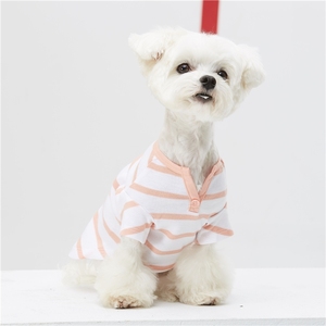 Ropa para perros ODM Quick Leading Time Eco Material Pretty Poodle - Product Image 2