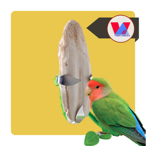 MEJOR VENDIDO Hueso de Sepia 100% Natural Entero Seco para Aves, Loro, Recortador de Pico, Juguete Masticable de Calcio para Mascotas - Product Image 1