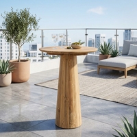 Table basse Robi moderne en teck massif, mobilier de bar élégant avec base conique, pour patio, décoration contemporaine, portable