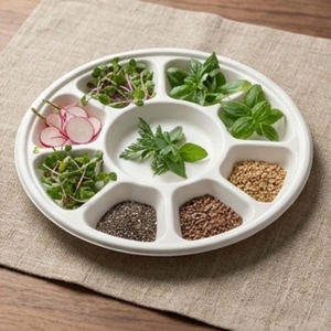 Round Sugarcane Bagasse <b>Pulp</b> Divided Plate with 9 Compartments Biodegradable & Microwave-Safe for Takeaway Casual Use - Product Image 6